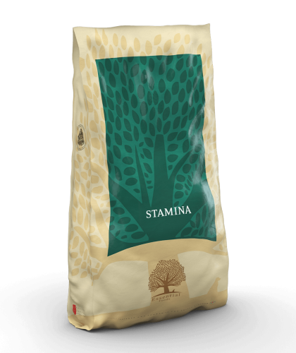 Essential Foods for Dogs - Stamina Complete Food for Active Dogs (10 kg)