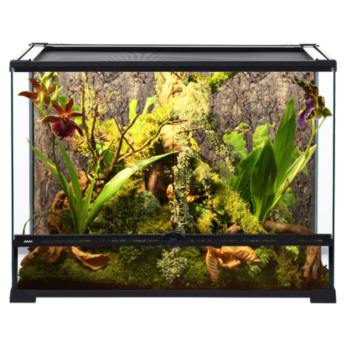 Repti Planet- Wide Glass Reptile Terrarium