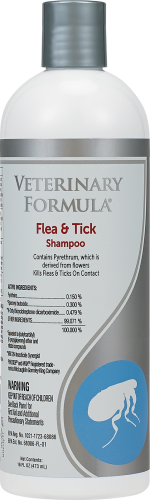 Medicated shampoo for flea and tick care for dogs and cats