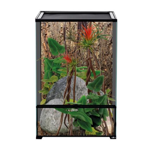 Repti Planet -Tail Glass Reptile Terrarium