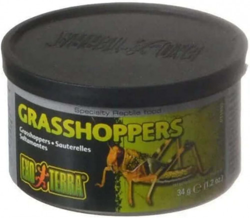 Exo Terra Specialty Reptile Food, Canned Grasshoppers for Reptiles 34g