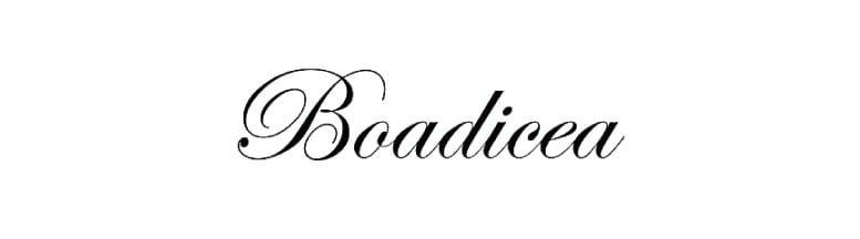 بوديسيا BOADICEA