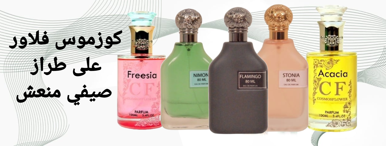 كوزموس فلاور