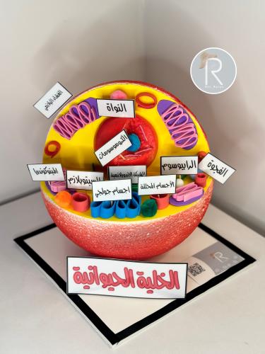 مجسم الخلية الحيوانية