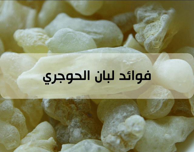 فوائد اللبان الحوجري