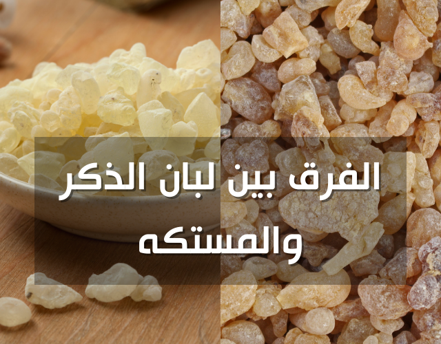 الفرق بين لبان الذكر والمستكه