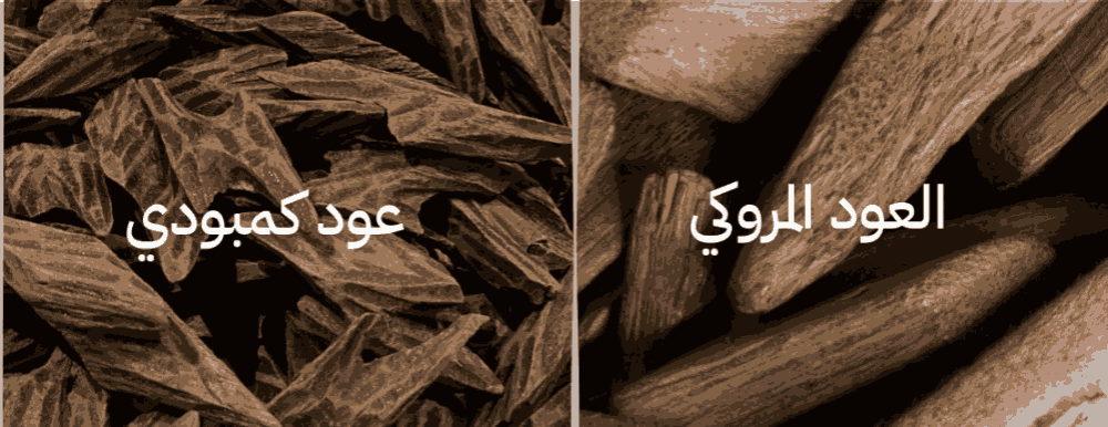الفرق بين العود المروكي والعود الكمبودي: أيهما الأفضل ولماذا؟