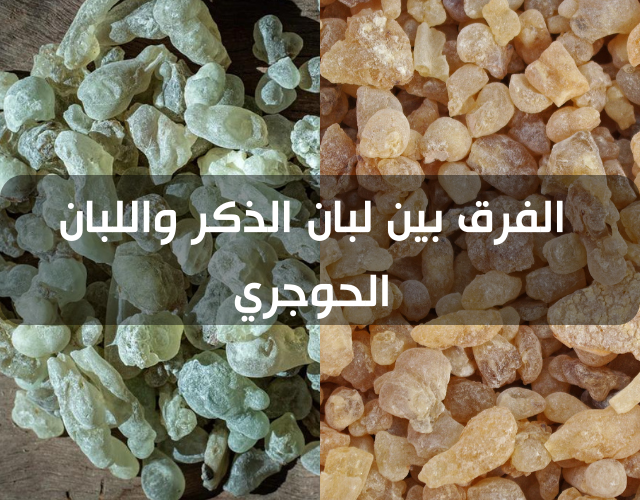 الفرق بين لبان الذكر واللبان الحوجري