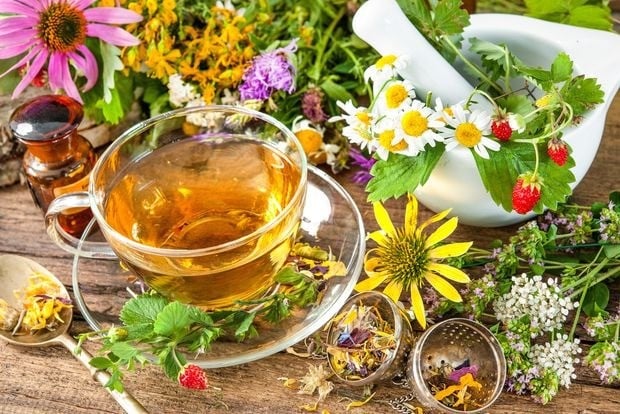الحلفاء العشبيون من أجل هدوءك: استخدام فضل الطبيعة لمكافحة التوتر والقلق