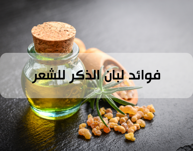 فوائد لبان الذكر للشعر وتجربتي مع منقوع لبان الذكر