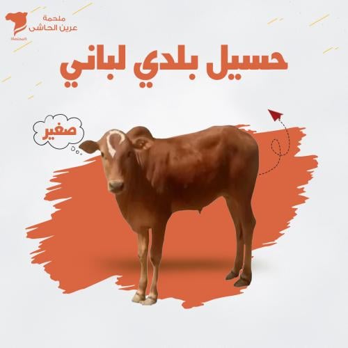 حسيل بلدى بالكيلو
