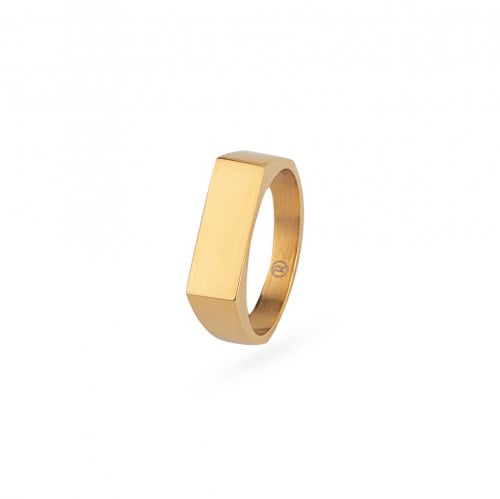 Âme Ring in Gold