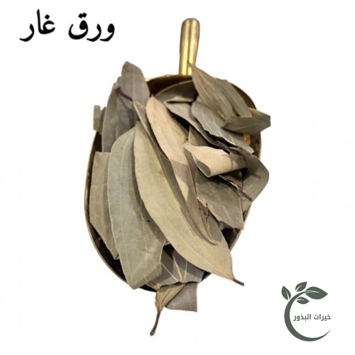 ورق غار