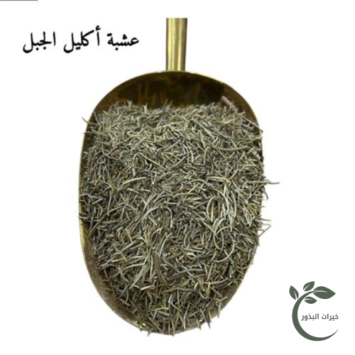 عشبة اكليل الجبل (يتوفر عادي ومطحون)