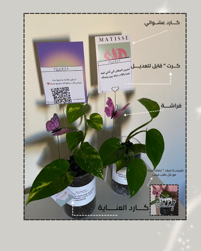 نبتـه بوتس | لون بينك |