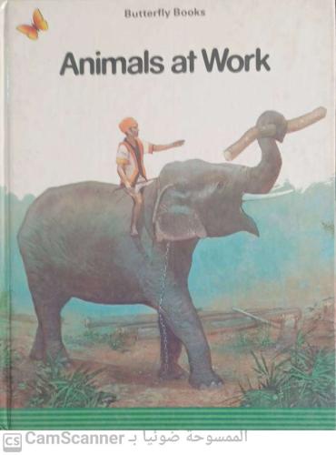 Animals at work Butterfly books