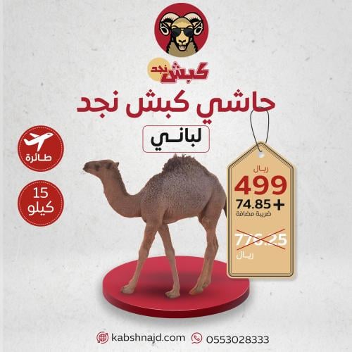 حاشي كبش نجد (15 كيلو طائرة)