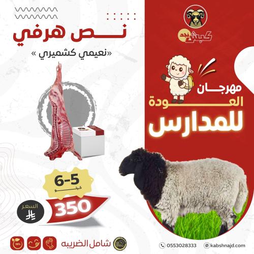 نص هرفي (نعيمي كشميري) 5-6 كيلو