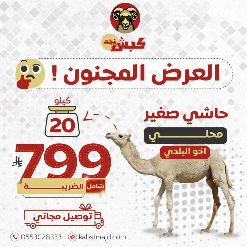 حاشي كبش نجد (20 كيلو محلي)