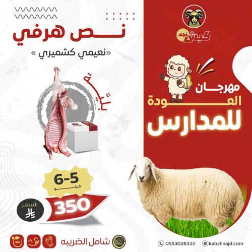 نص هرفي (نعيمي كشميري) بلية 5-6 كيلو