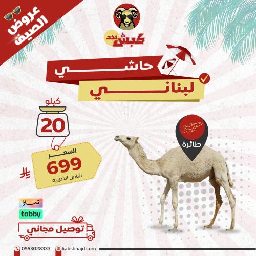 حاشي كبش نجد (20 كيلو طائرة)