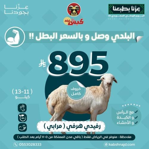 رفيدي هرفي (مرابي)