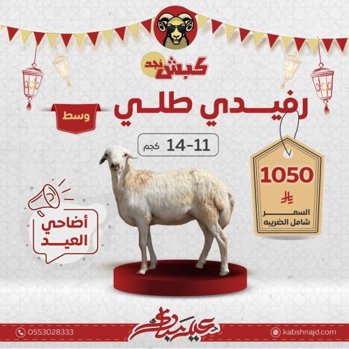 رفيدي طلي وسط