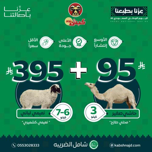 عرض اليوم الوطني السعودي (بوكس لباني نعيمي كشميري...