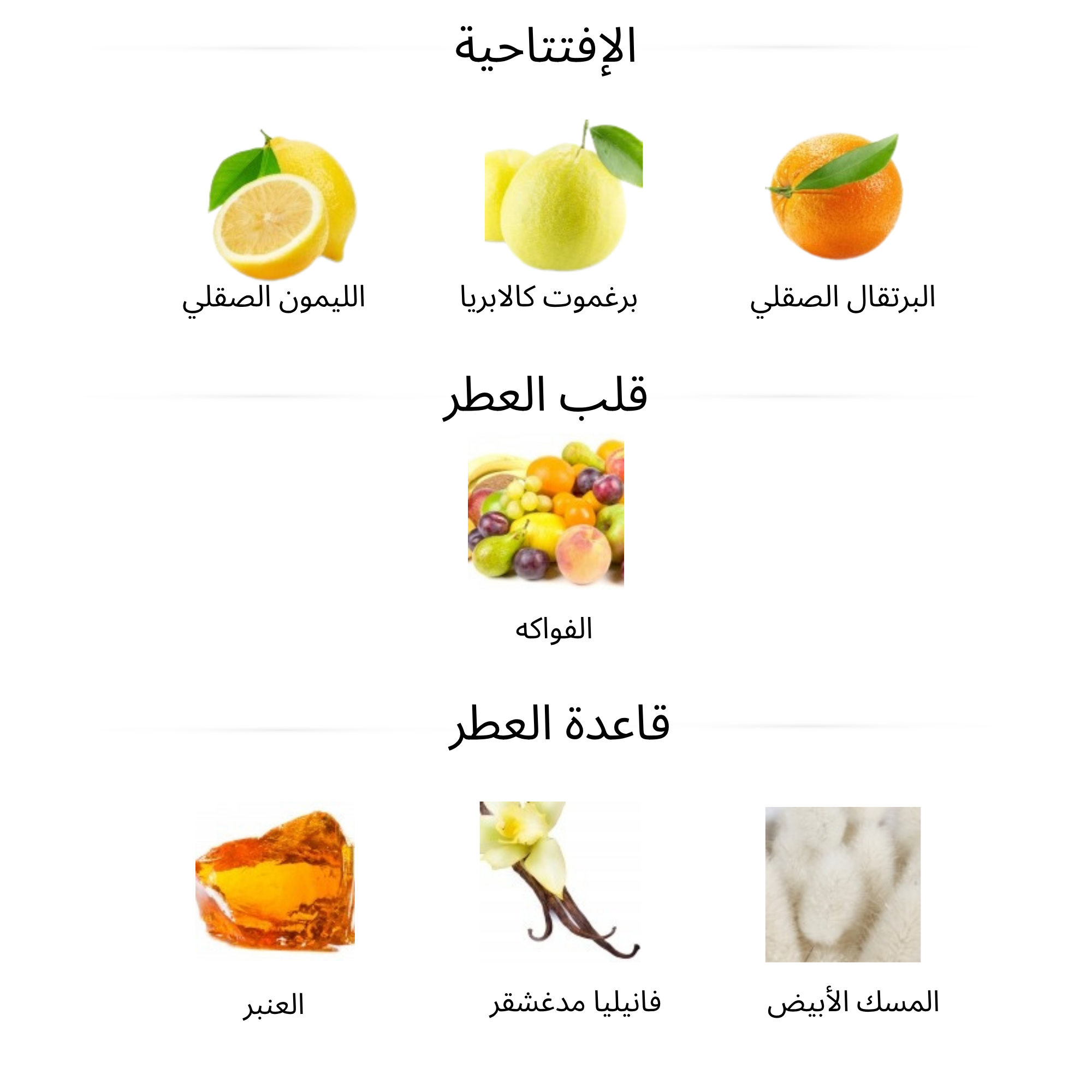 مكونات ونوتات عطر إربا بورا زيرجوف