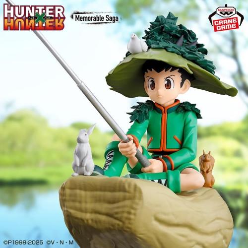 Hunter x Hunter - Memorable Saga Gon