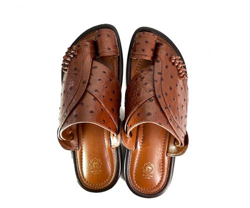 يوميه 523 حذاء هافان