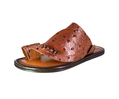 يوميه 523 حذاء هافان