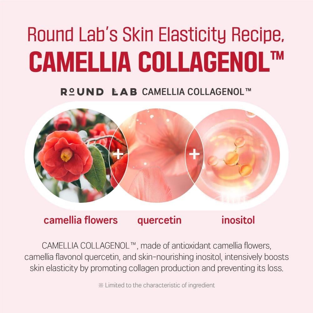 ROUND LAB - Camellia Deep Collagen Firming Ampoule أمبولة كاميليا ديب كولاجين لشد البشرة