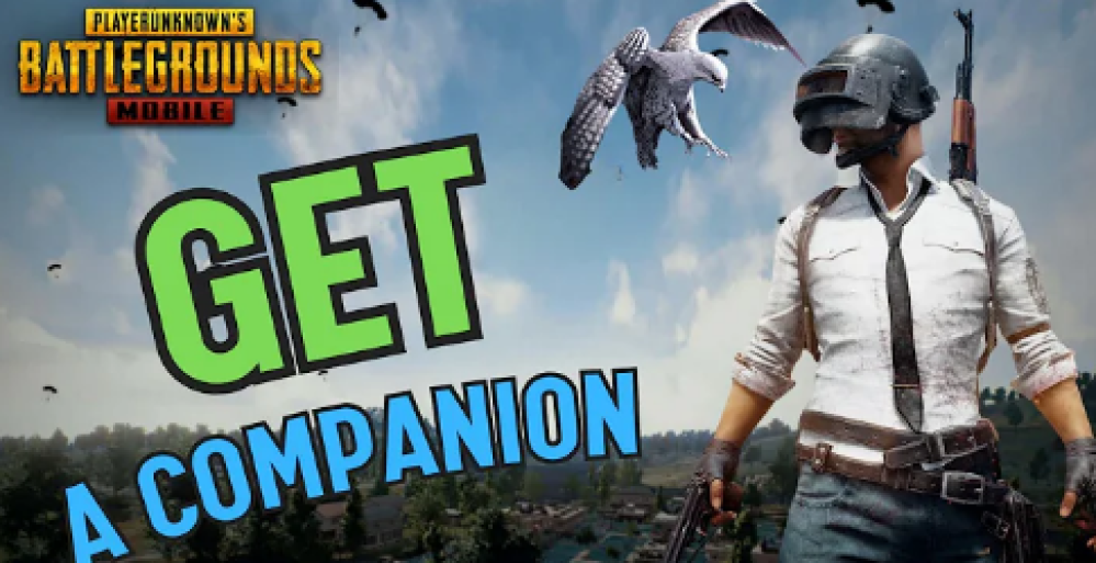 Companion in Pubg Mobile 2025|الرفقاء في ببجي موبايل