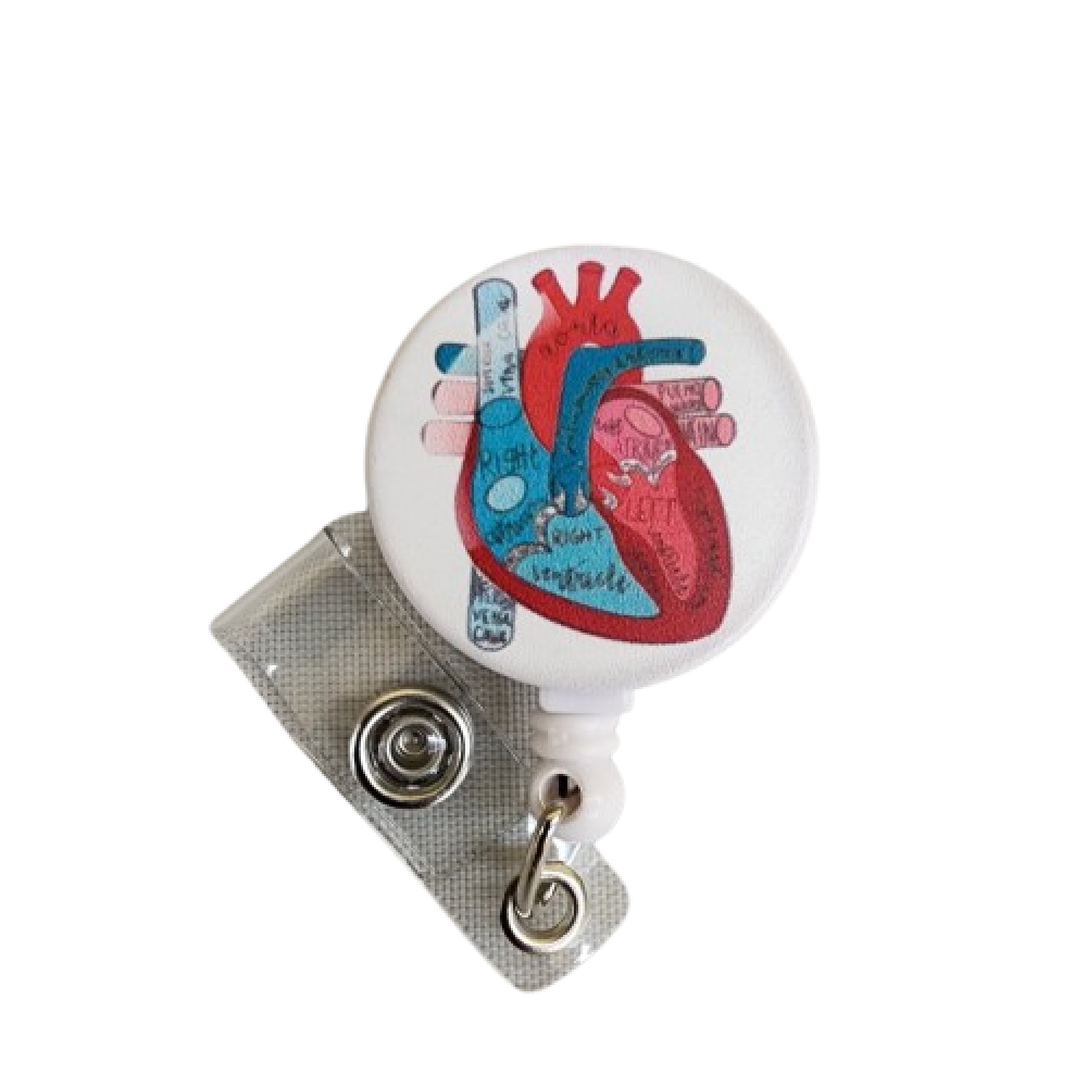 حامل بطاقة سحاب