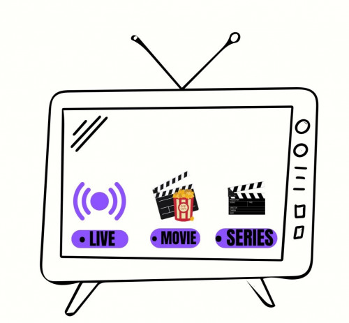 اشتراك Leeztv لمدة 12 شهر مع 3 شهور مجانا