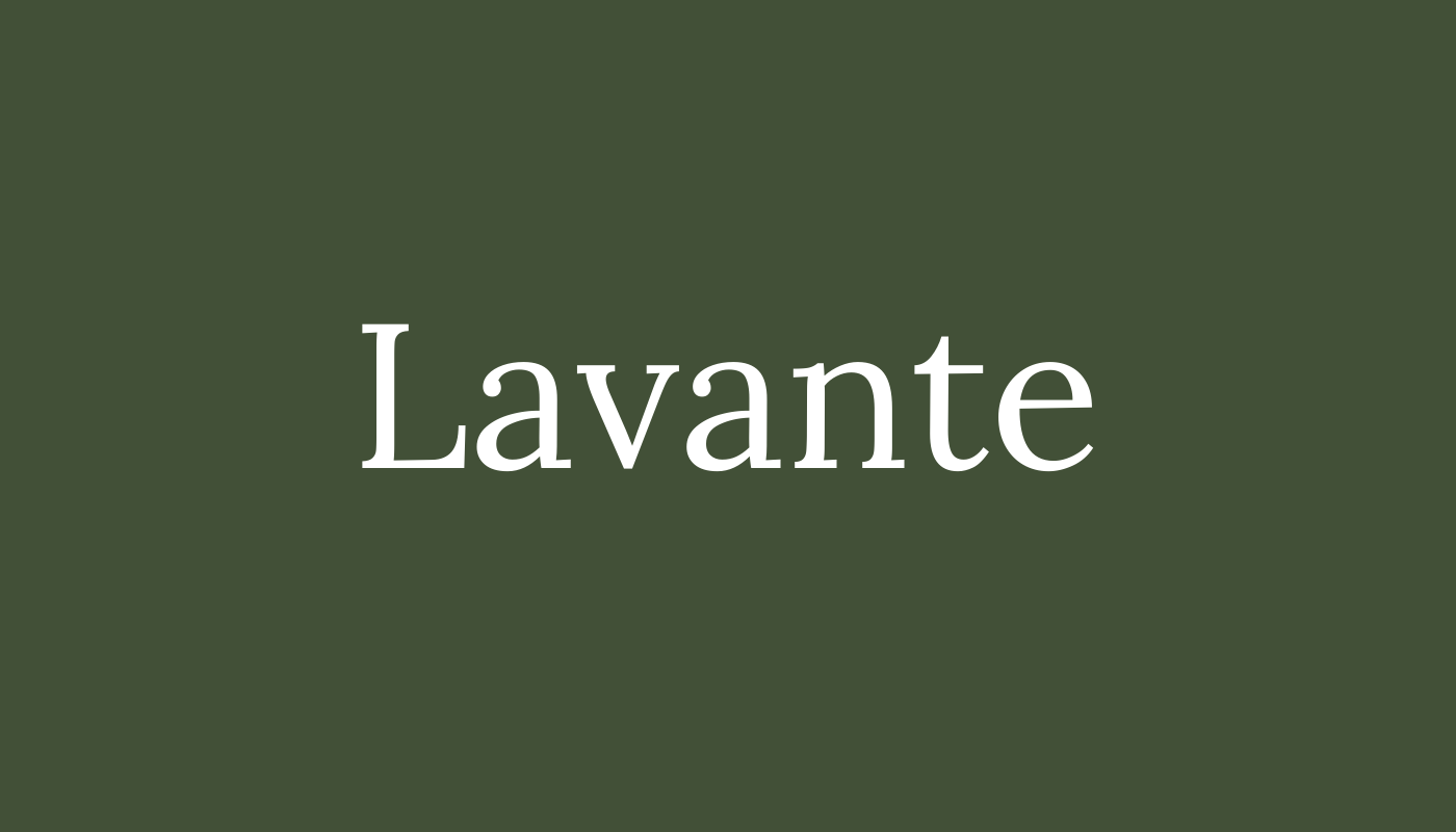 لافنتي LAVENTE