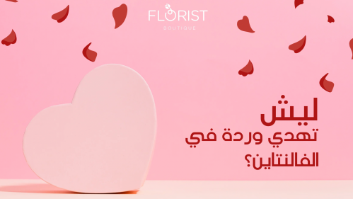 ليش تهدي وردة في الفالنتاين؟