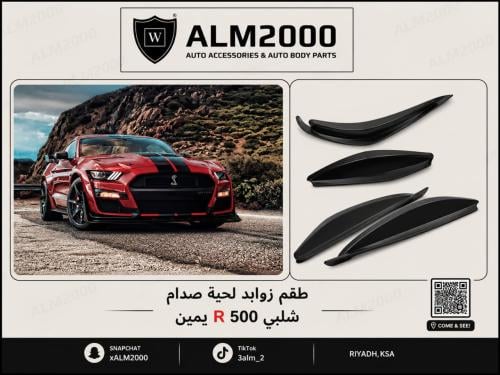 طقم زوابد لحية صدام شلبي 500 يمين R