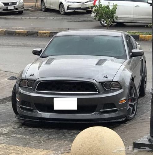 كبوت موستنق  جي تي 13-14