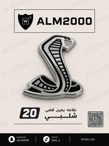 علامه يمين فضي شلبي 20