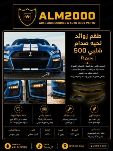 طقم زوابد لحية صدام شلبي 500 يمين R