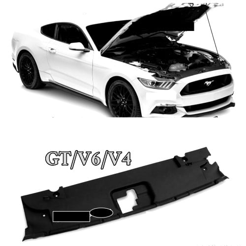 بطانه  راديتر فوق صدام امامي2018-2021