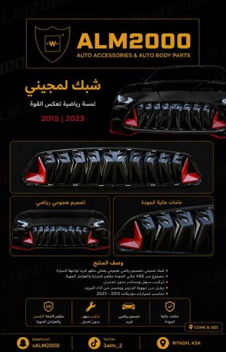 شبك لمجيني 15-17