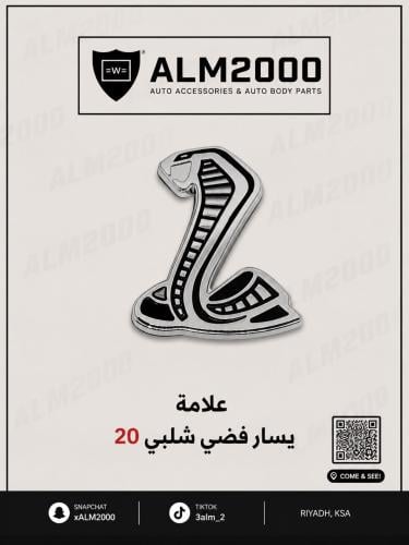 علامه يسار فضي شلبي 20