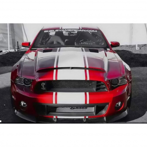 كبوت شلبي سوبر سنك موستنق 2014-13