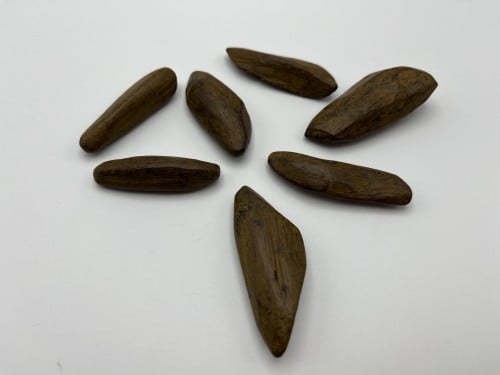 عينات عود محسن فقط