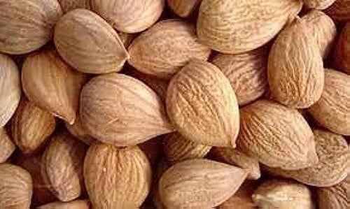 بذور المشمش 250 جرام