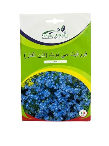 بذور زهرة اذن الفار ( Myosotis alpestris )