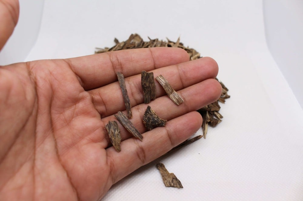 عود, العود, العود الطبيعي, العود المسقى, العود الهندي, قشور عود هندي,